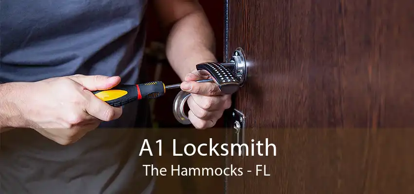 A1 Locksmith The Hammocks - FL