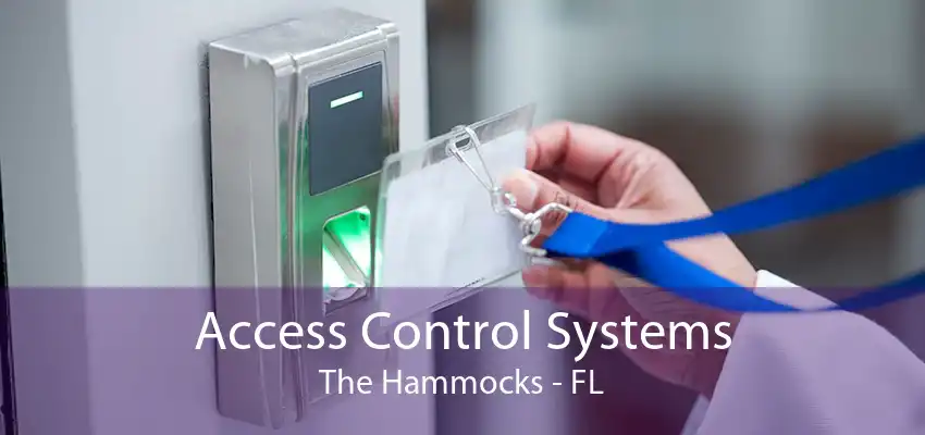 Access Control Systems The Hammocks - FL