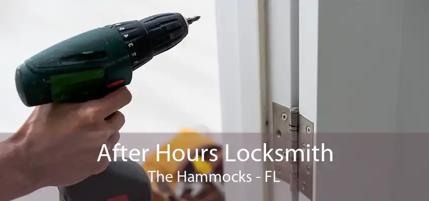 After Hours Locksmith The Hammocks - FL