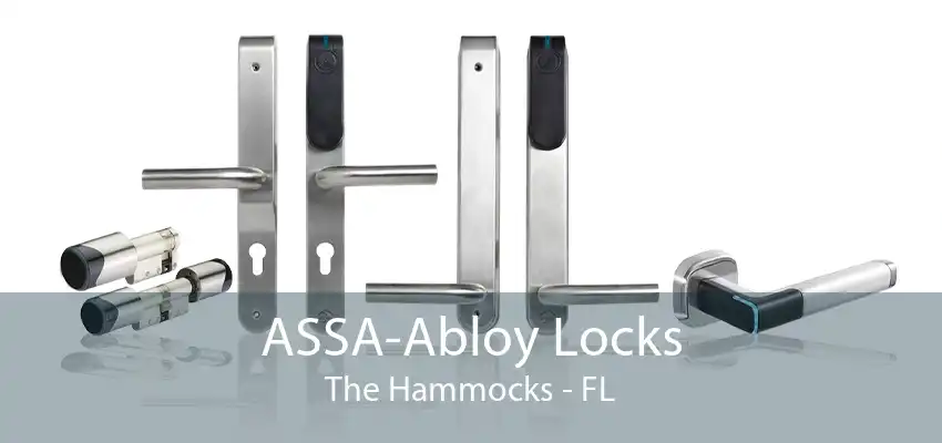 ASSA-Abloy Locks The Hammocks - FL