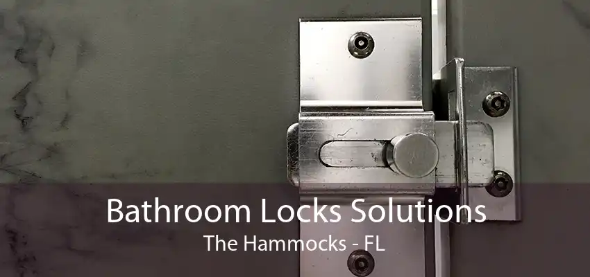 Bathroom Locks Solutions The Hammocks - FL