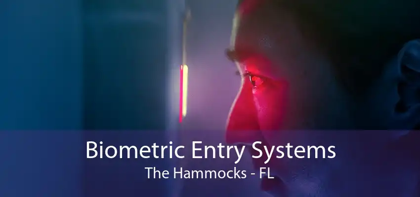 Biometric Entry Systems The Hammocks - FL