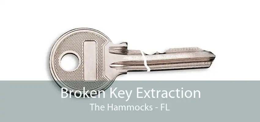 Broken Key Extraction The Hammocks - FL