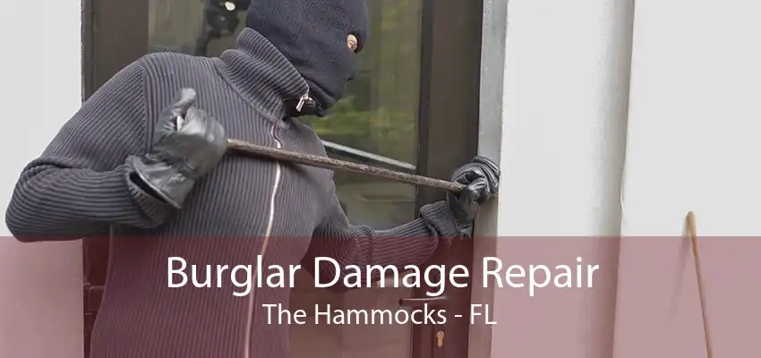 Burglar Damage Repair The Hammocks - FL