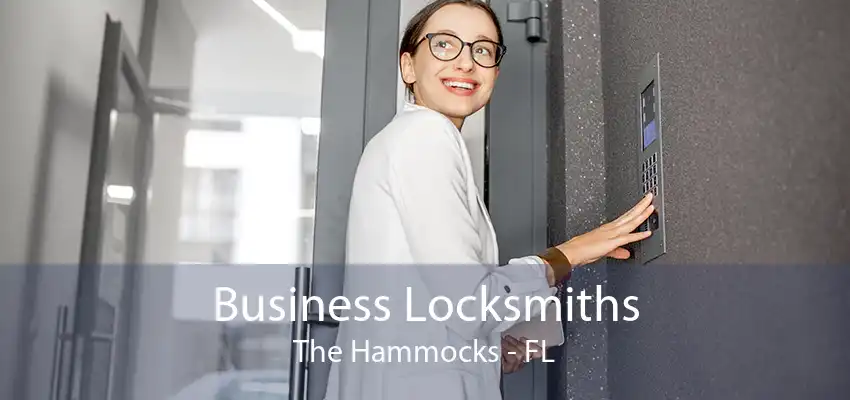 Business Locksmiths The Hammocks - FL