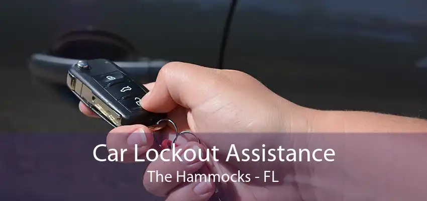 Car Lockout Assistance The Hammocks - FL