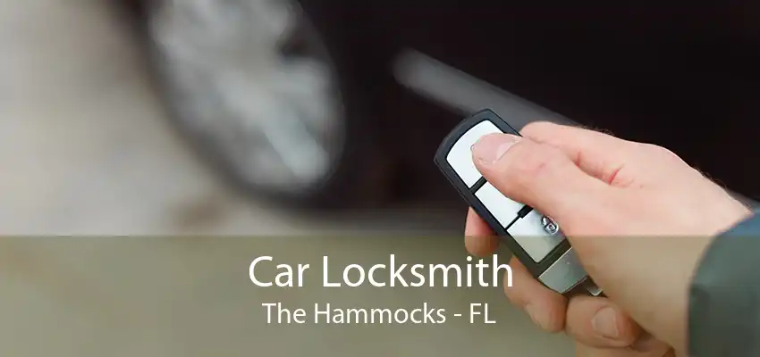 Car Locksmith The Hammocks - FL