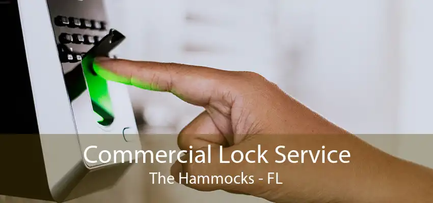 Commercial Lock Service The Hammocks - FL