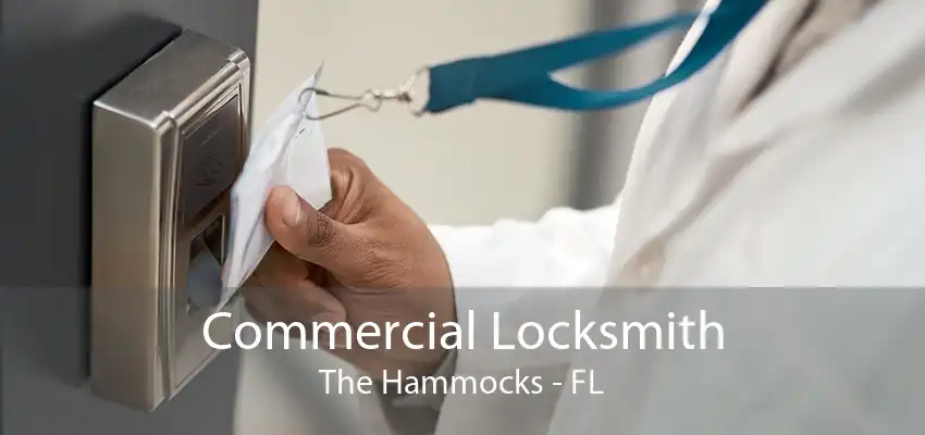 Commercial Locksmith The Hammocks - FL