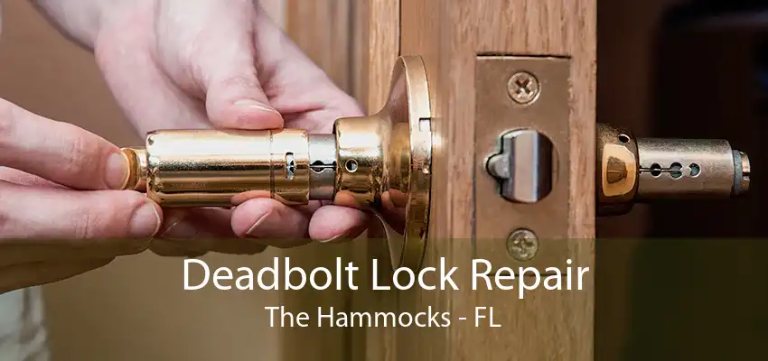 Deadbolt Lock Repair The Hammocks - FL