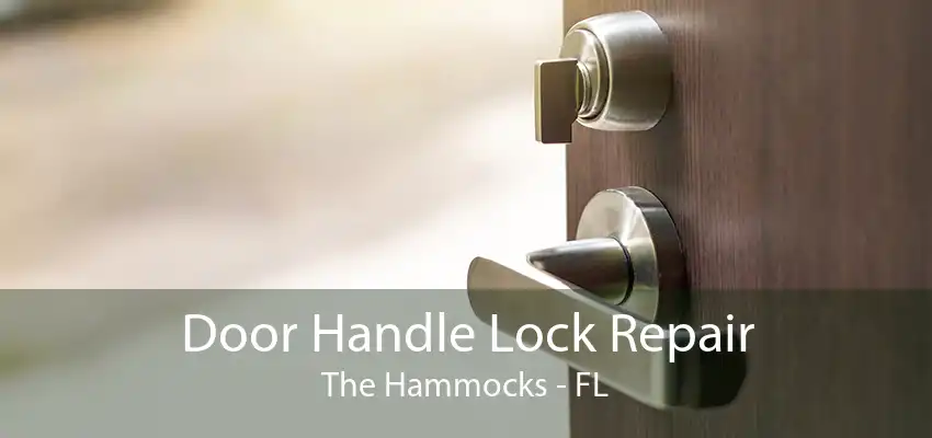 Door Handle Lock Repair The Hammocks - FL