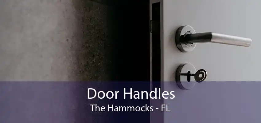 Door Handles The Hammocks - FL