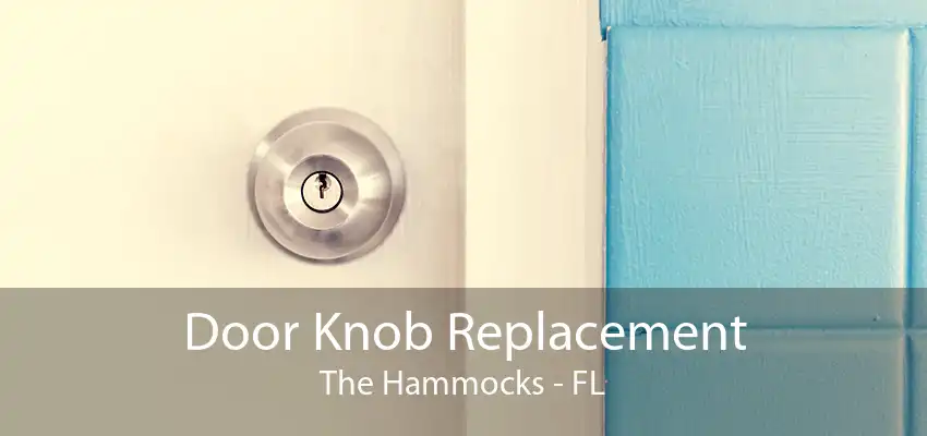 Door Knob Replacement The Hammocks - FL