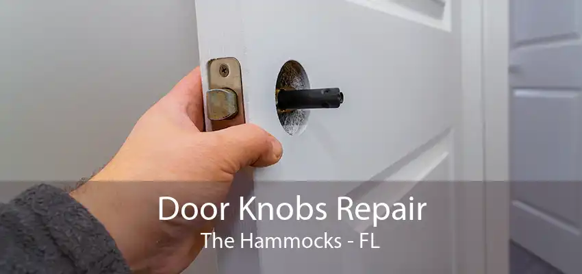 Door Knobs Repair The Hammocks - FL