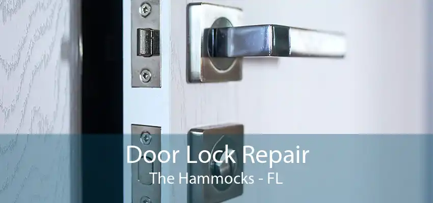 Door Lock Repair The Hammocks - FL