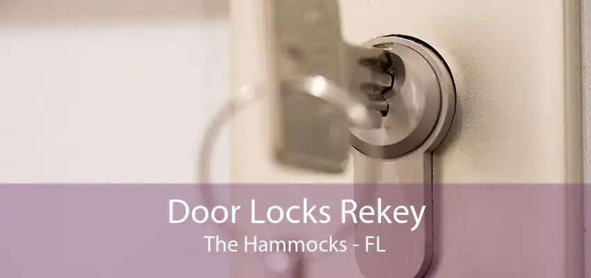 Door Locks Rekey The Hammocks - FL