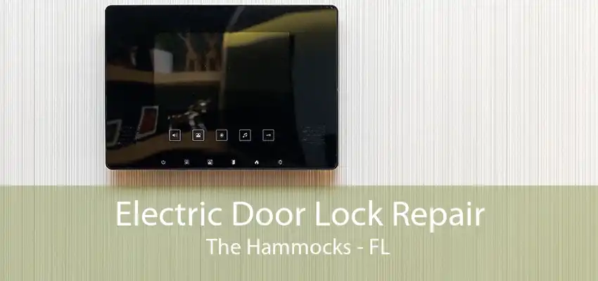 Electric Door Lock Repair The Hammocks - FL