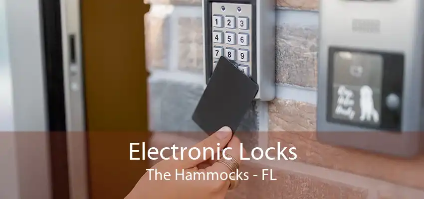 Electronic Locks The Hammocks - FL