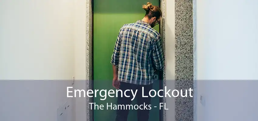 Emergency Lockout The Hammocks - FL