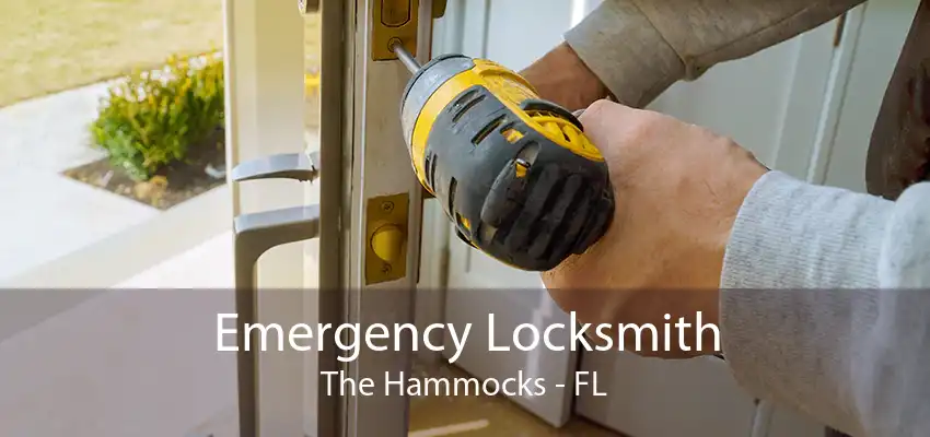 Emergency Locksmith The Hammocks - FL