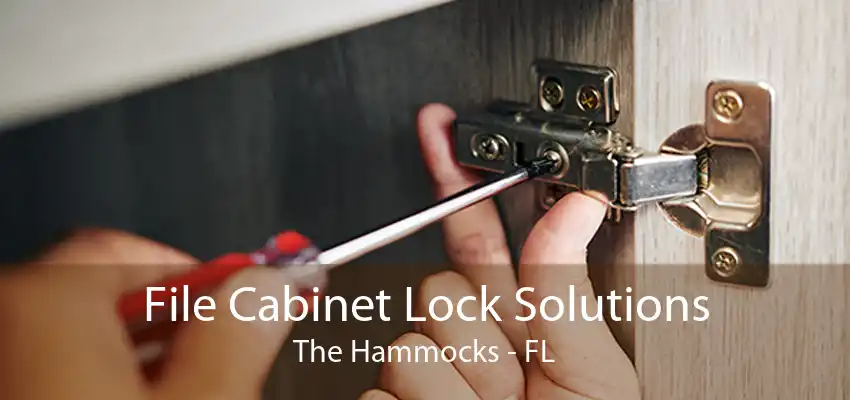 File Cabinet Lock Solutions The Hammocks - FL