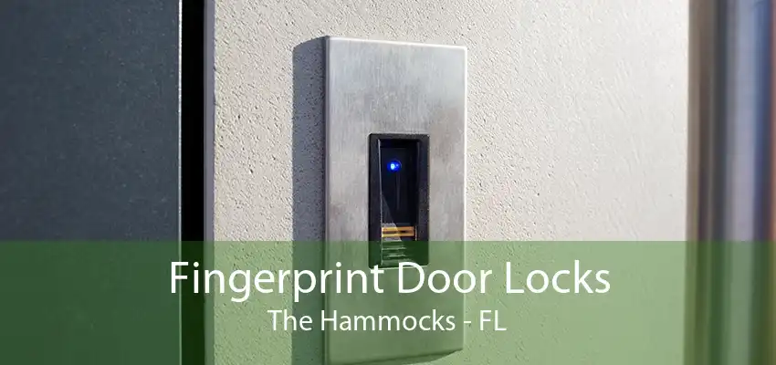 Fingerprint Door Locks The Hammocks - FL