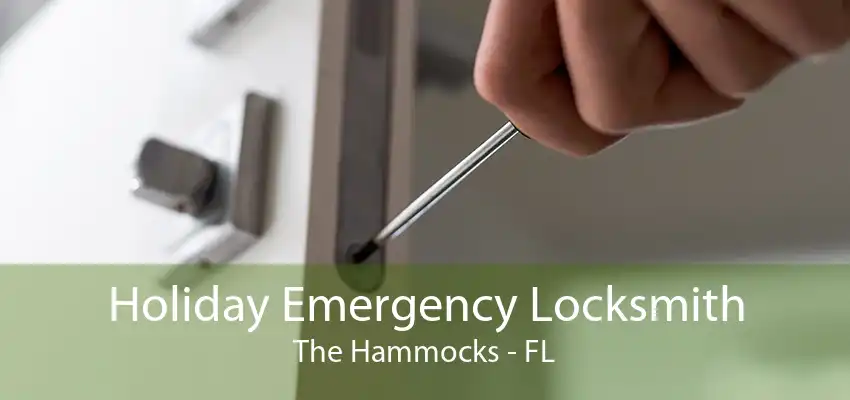 Holiday Emergency Locksmith The Hammocks - FL