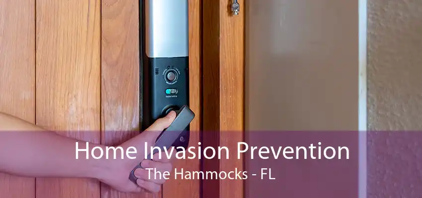 Home Invasion Prevention The Hammocks - FL