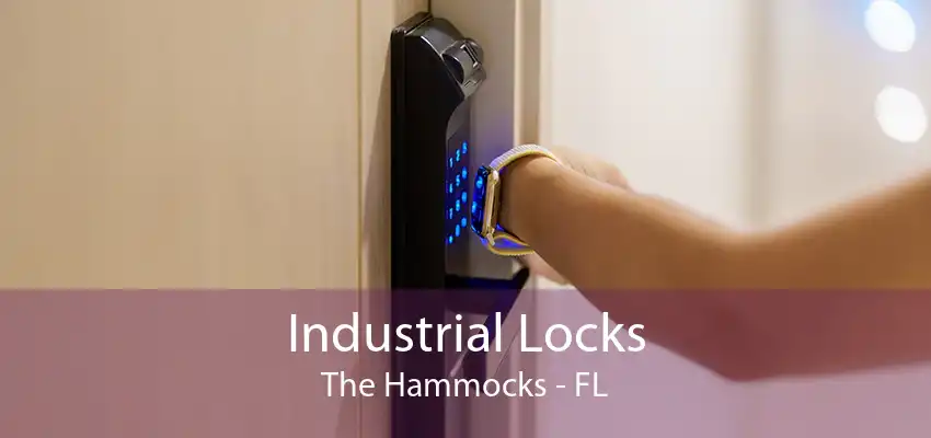 Industrial Locks The Hammocks - FL