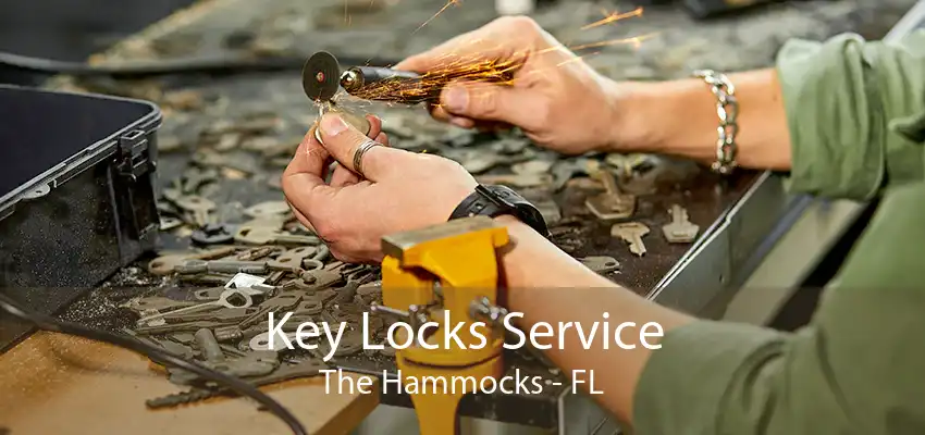 Key Locks Service The Hammocks - FL