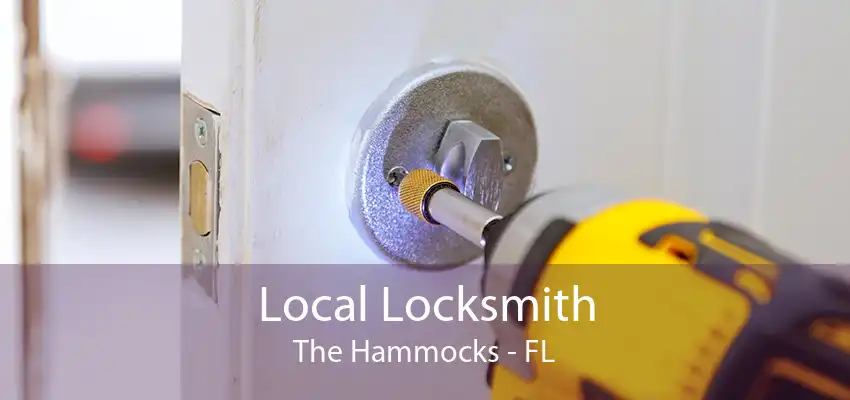 Local Locksmith The Hammocks - FL