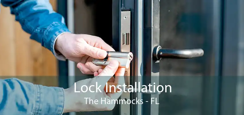 Lock Installation The Hammocks - FL