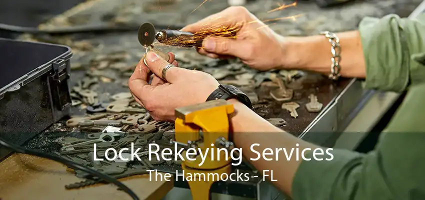 Lock Rekeying Services The Hammocks - FL