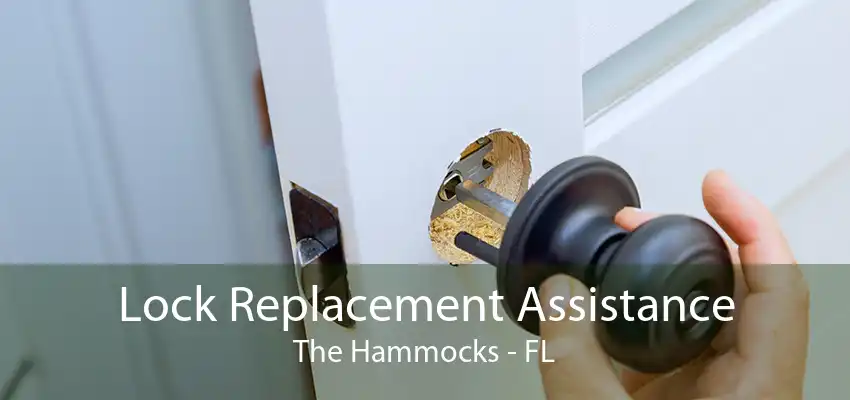 Lock Replacement Assistance The Hammocks - FL