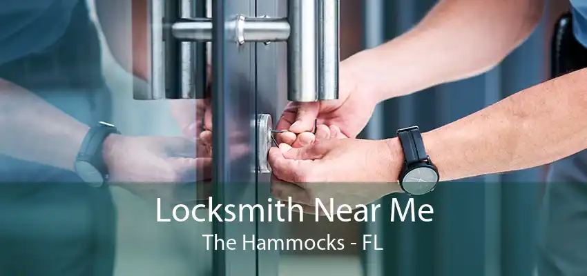 Locksmith Near Me The Hammocks - FL