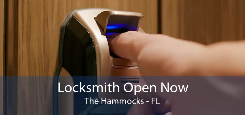 Locksmith Open Now The Hammocks - FL