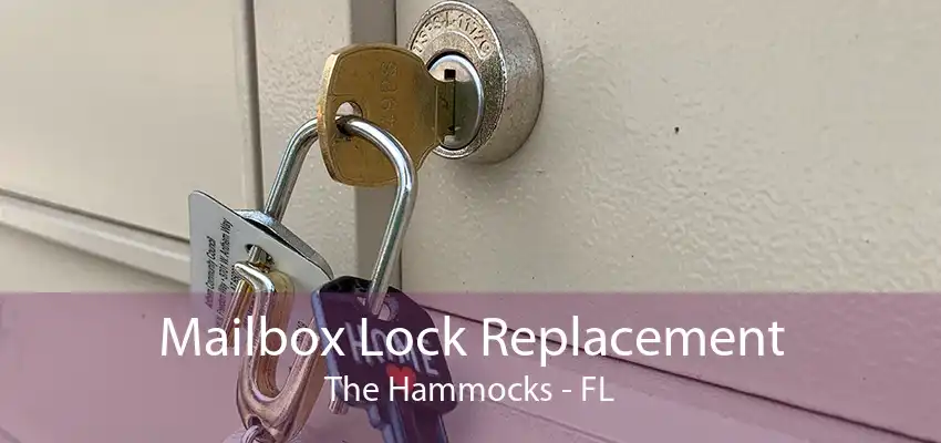 Mailbox Lock Replacement The Hammocks - FL