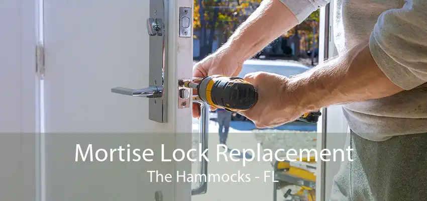 Mortise Lock Replacement The Hammocks - FL