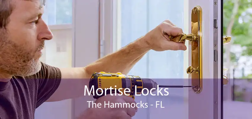 Mortise Locks The Hammocks - FL