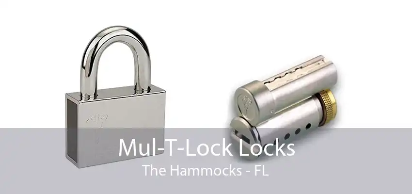 Mul-T-Lock Locks The Hammocks - FL