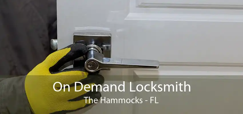 On Demand Locksmith The Hammocks - FL