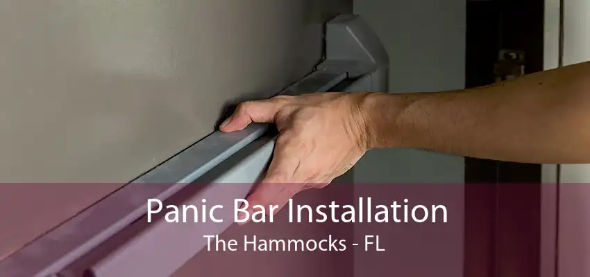 Panic Bar Installation The Hammocks - FL