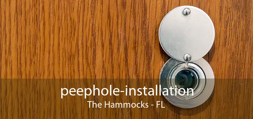 peephole-installation The Hammocks - FL