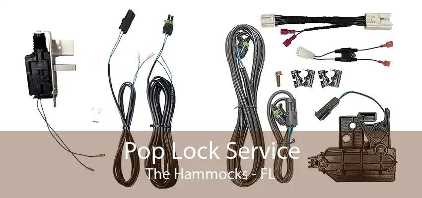 Pop Lock Service The Hammocks - FL