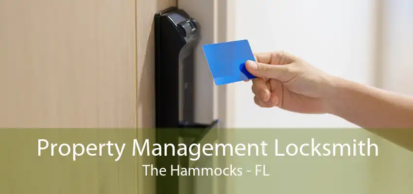 Property Management Locksmith The Hammocks - FL