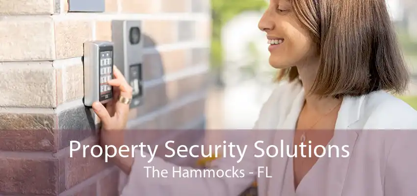 Property Security Solutions The Hammocks - FL