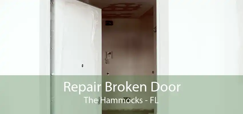 Repair Broken Door The Hammocks - FL