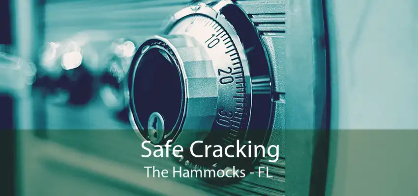 Safe Cracking The Hammocks - FL