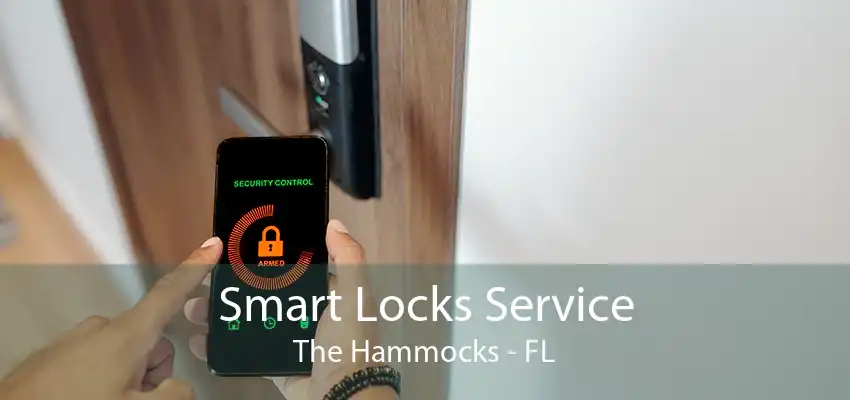 Smart Locks Service The Hammocks - FL