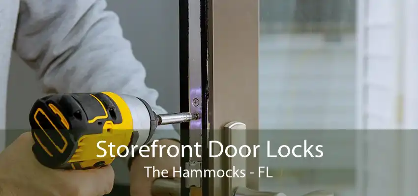 Storefront Door Locks The Hammocks - FL